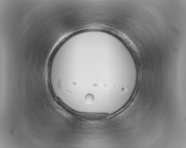 X0000115631232200912011433