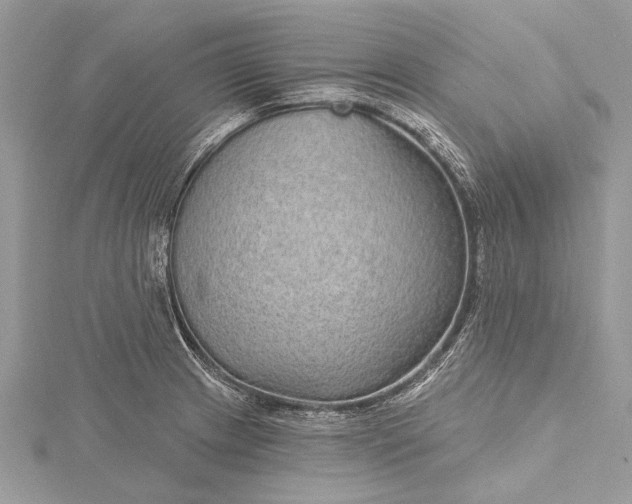 X0000115631233200912011433