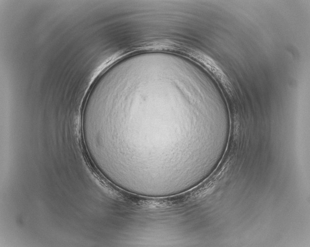 X0000115631234200912011433