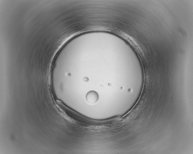 X0000115631236200912011434