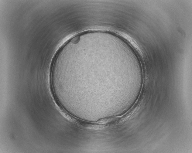 X0000115631237200912011434