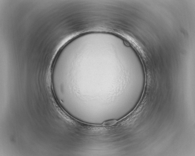 X0000115631238200912011434