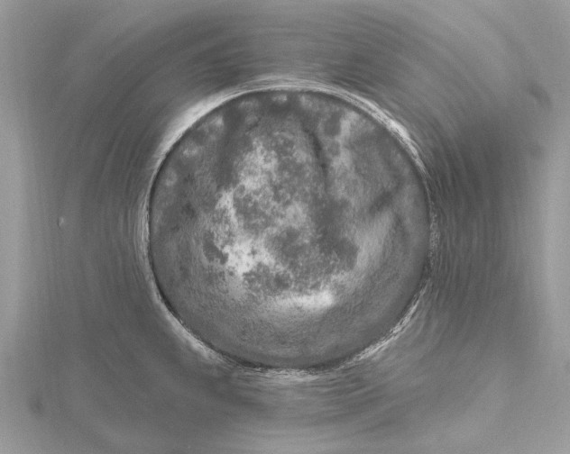 X0000115631239200912011434