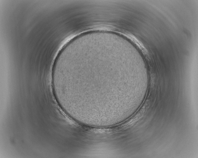 X0000115631240200912011434