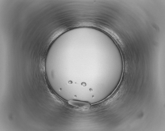 X0000115631241200912011434