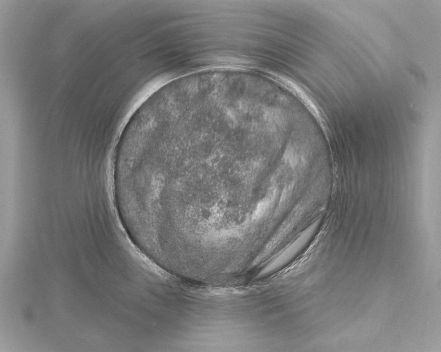 X0000115631243200912011434