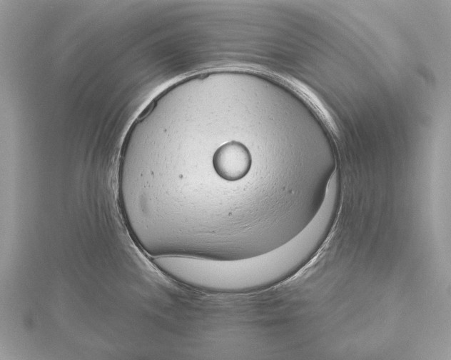 X0000115631244200912011434