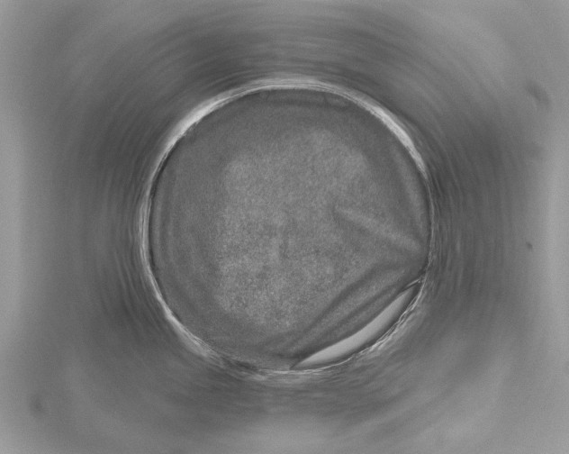 X0000115631245200912011434