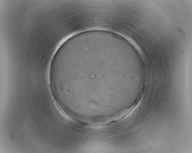 X0000115631246200912011434