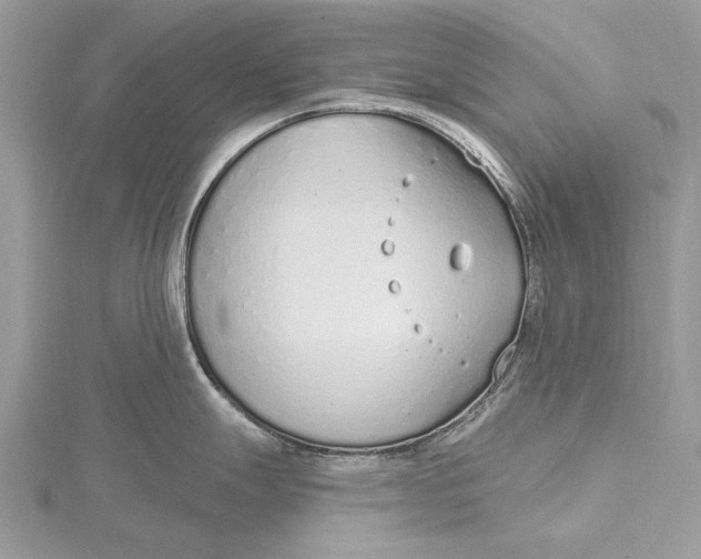 X0000115631247200912011434