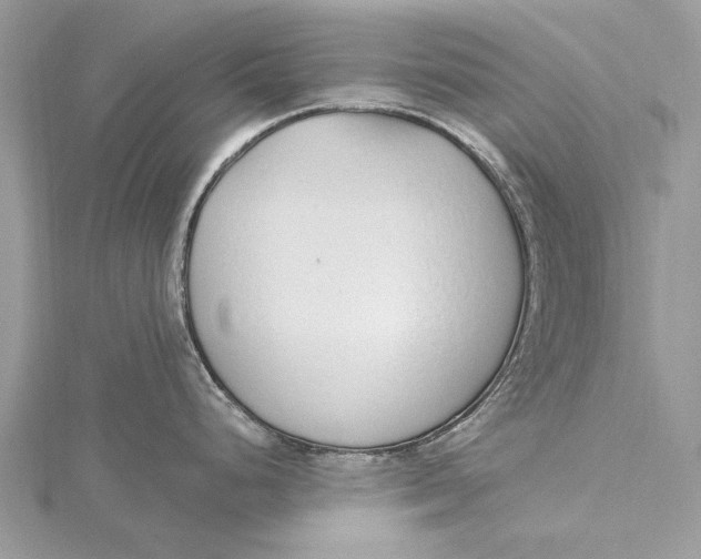 X0000115631248200912011434