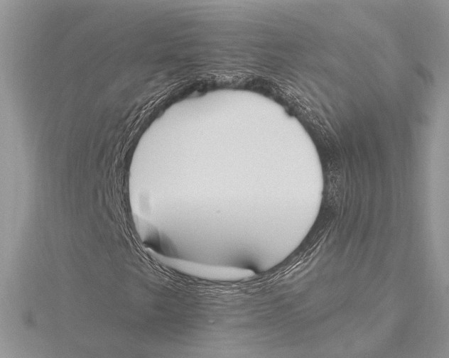 X0000115631249200912011433