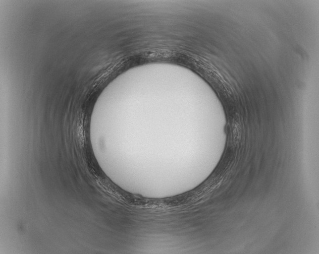 X0000115631250200912011433