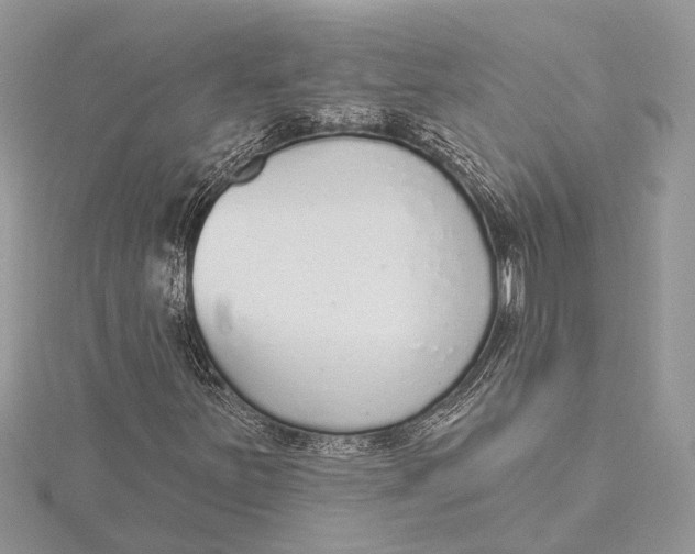 X0000115631251200912011433