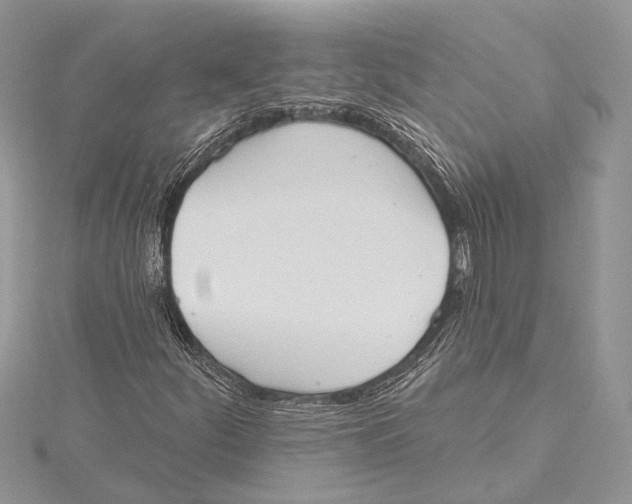 X0000115631252200912011433