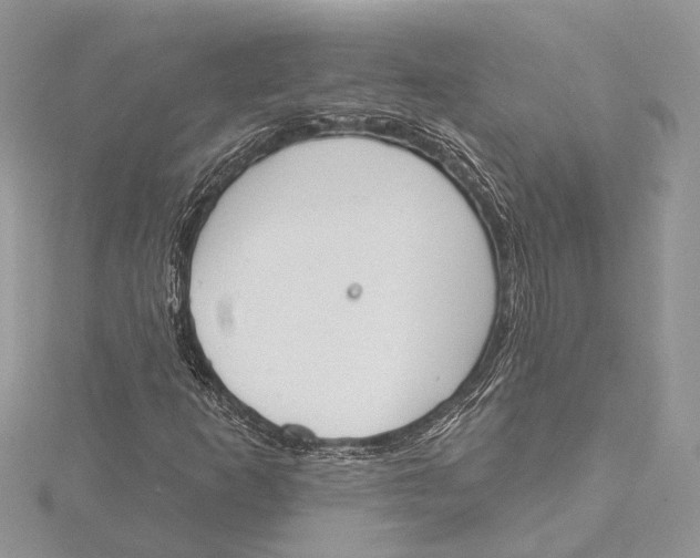 X0000115631253200912011433