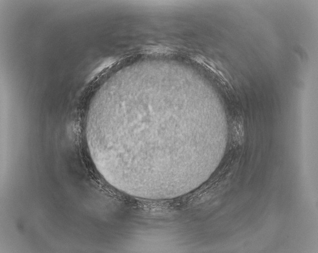 X0000115631254200912011433