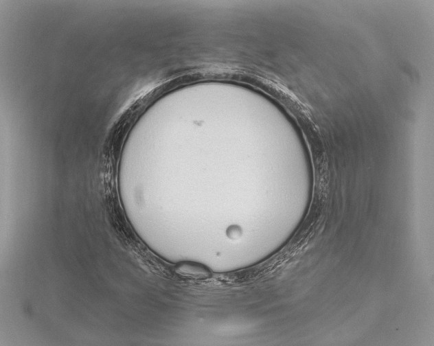 X0000115631255200912011433