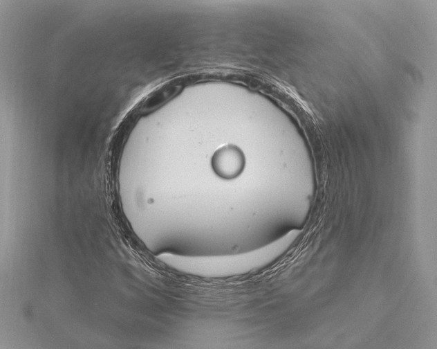 X0000115631256200912011433