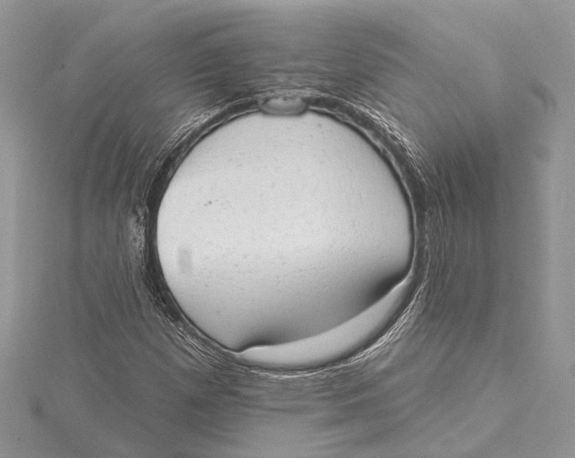 X0000115631257200912011433