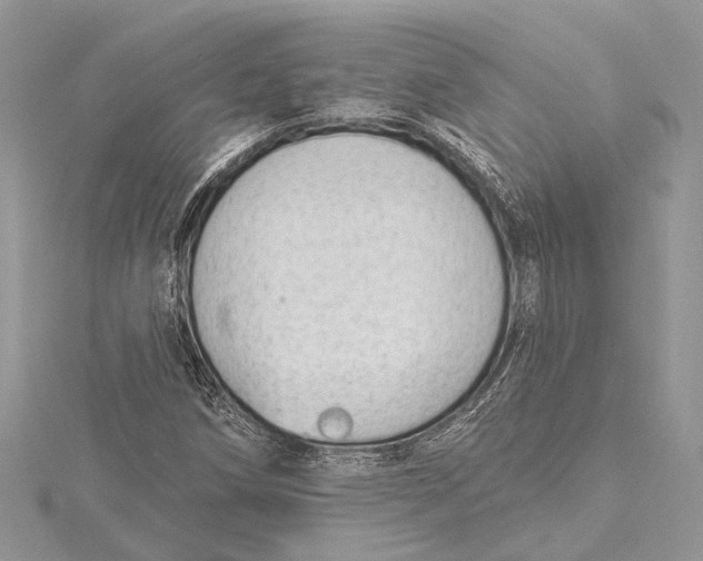 X0000115631258200912011433