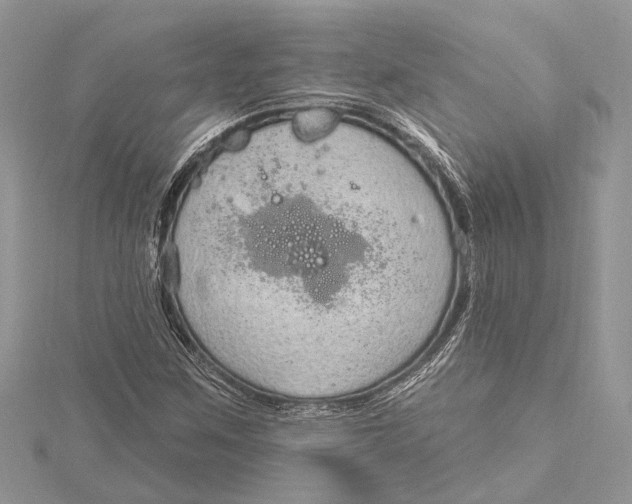 X0000115631259200912011433