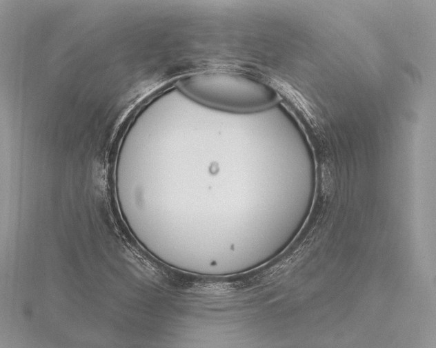 X0000115631260200912011433