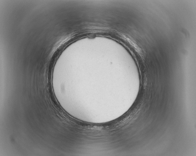 X0000115631261200912011433