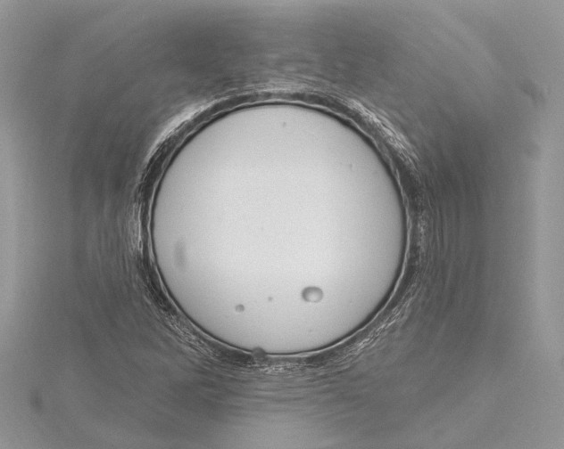 X0000115631262200912011433