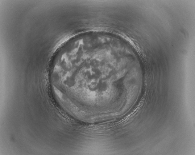 X0000115631263200912011433