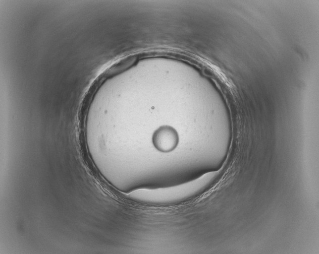 X0000115631264200912011433