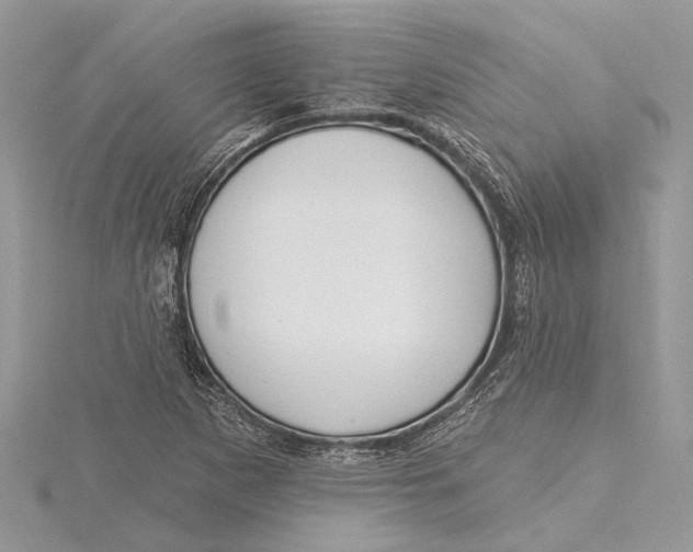 X0000115631265200912011433