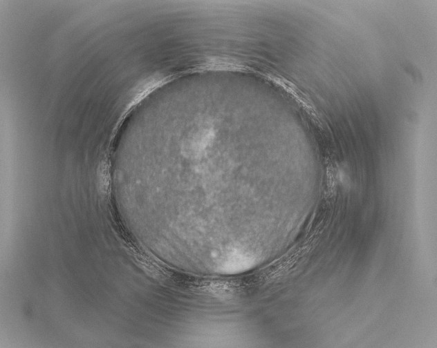 X0000115631266200912011433