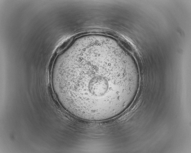 X0000115631267200912011433