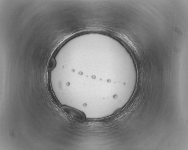 X0000115631268200912011433