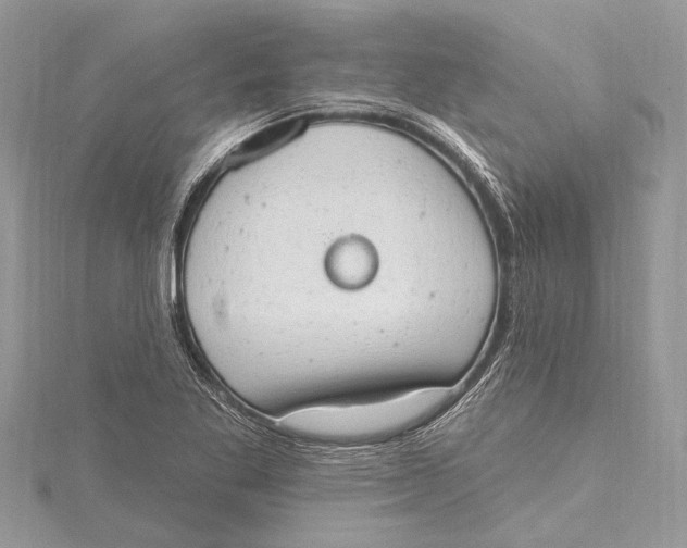 X0000115631269200912011433