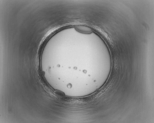 X0000115631270200912011433