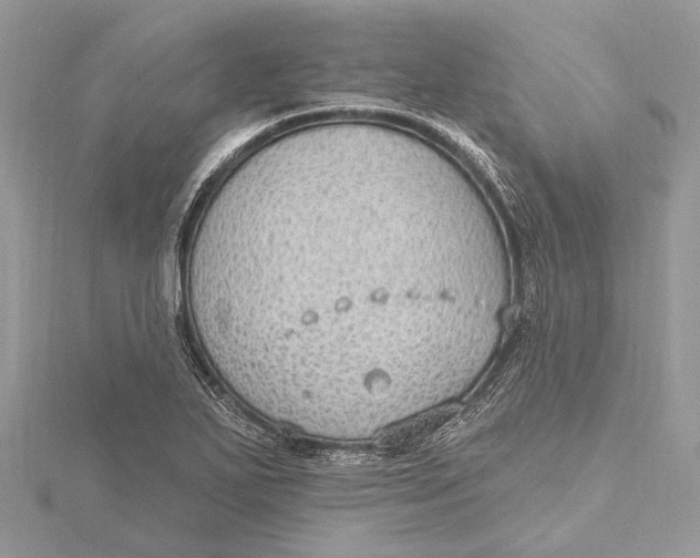 X0000115631271200912011433