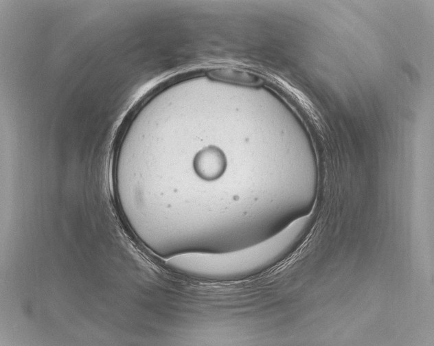 X0000115631272200912011433