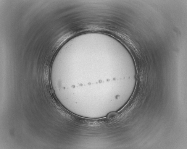 X0000115631273200912011433