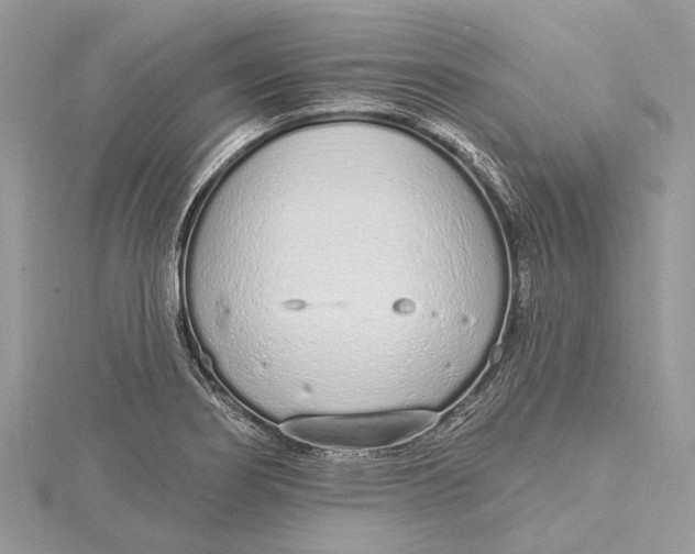 X0000115631274200912011433