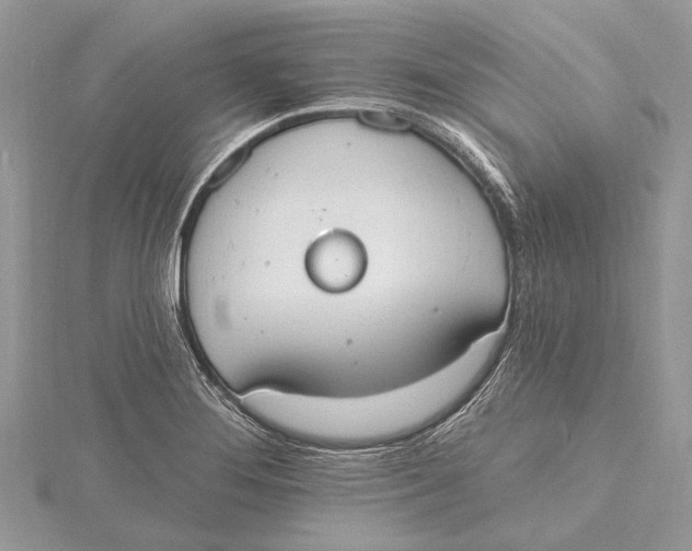 X0000115631276200912011433