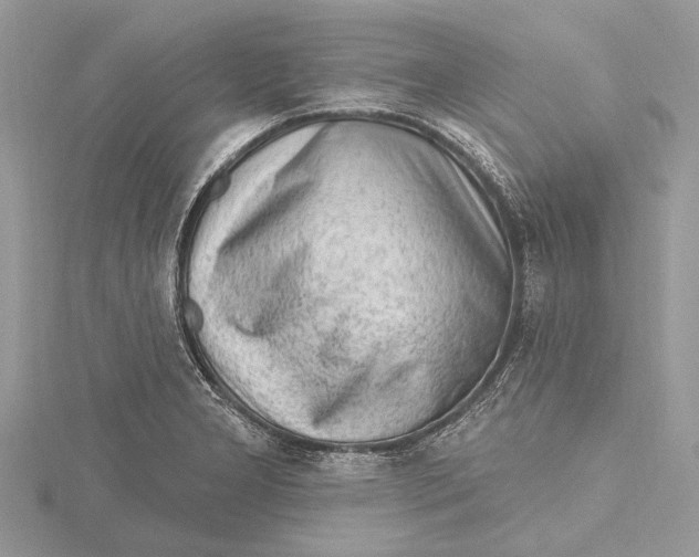 X0000115631277200912011433