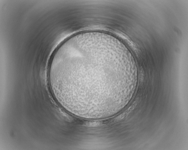 X0000115631278200912011433