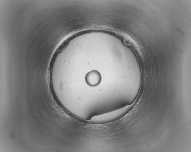 X0000115631280200912011433