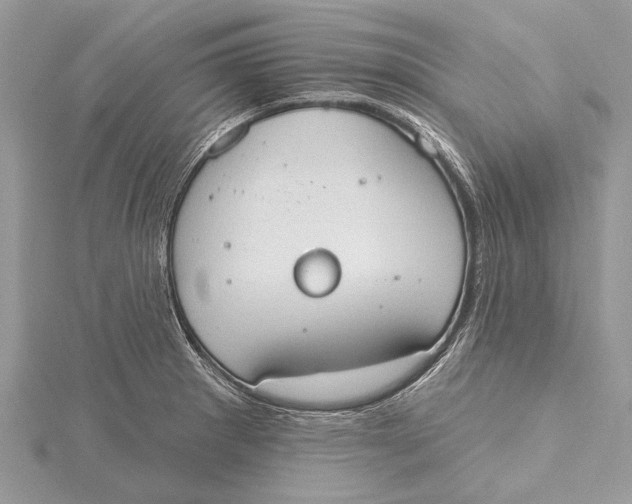 X0000115631281200912011433