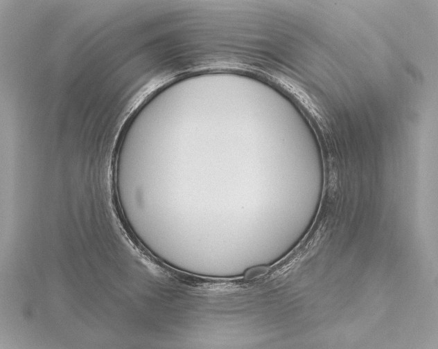 X0000115631282200912011433