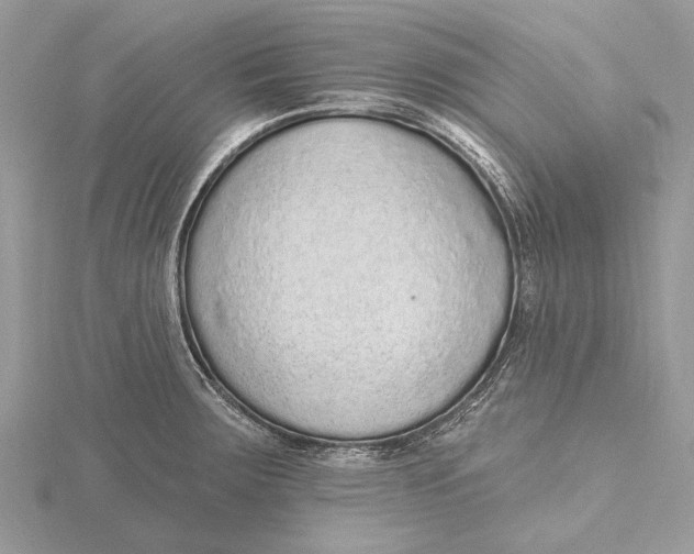 X0000115631283200912011433