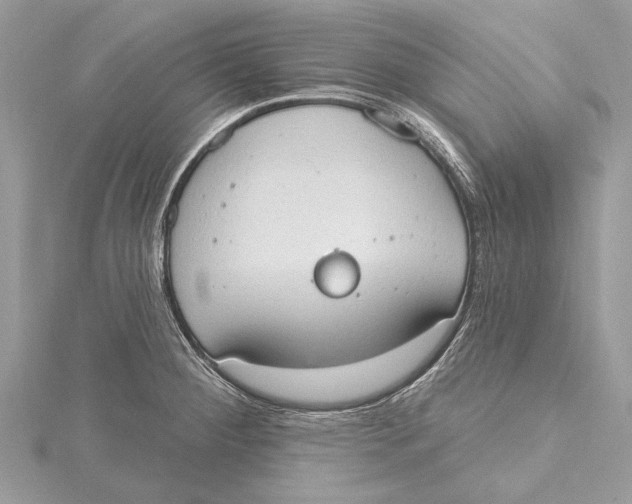 X0000115631284200912011433