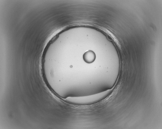 X0000115631285200912011433